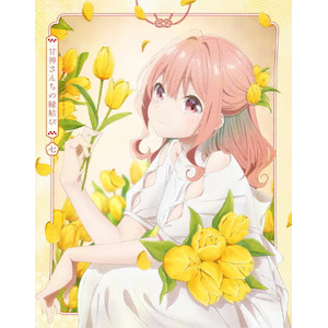 [dl]uÐ_񂿂̉сvBlu-ray Vol.7yԌŁz  Aj[V