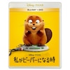 �����r�[�o�[�ɂȂ鎞 �u���[���C+DVD�Z�b�g  �A�j���[�V����