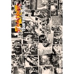 ATOMTOPIA TOUR FINAL|STANCE PUNKS|RWON-14