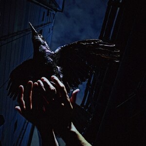 Cold Edge e.p.|9mm Parabellum Bullet|TOCT-26889