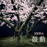 �ۓ�|SOFFet|QFCS-10001