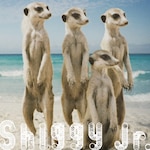 �T�}�[�^�C�����u|Shiggy Jr.|UMCK-5575