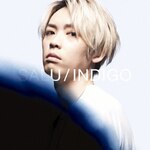 INDIGO|SALU|TFCC-86588