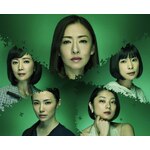 �A���h���}W 5�l�̃W�����R|����׎q|TCED-3102