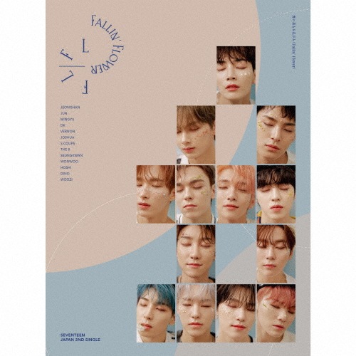 舞い落ちる花びら(Fallin' Flower)(初回限定盤C)|SEVENTEEN|POCE-22903