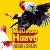 Maximum Huavo(��������/DVD)  INABA/SALAS
