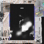 BAECUL|gato|GATO-001