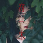 �h��|samayuzame|MOTH-0006
