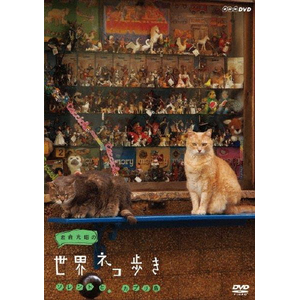 ⍇̐ElR \gƃJv|hLg|NSDS-18032