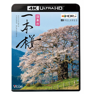 音楽 映像ソフト ビコムならではの高画質 高音質にこだわった 日本の一本桜 4k Hdr