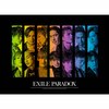 PARADOX(���񐶎Y�����/DVD�t)  EXILE