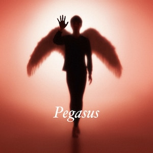 Pegasus (񐶎Y)|zܓБ|TYCT-39157