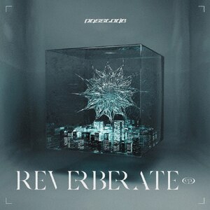 REVERBERATE ep. [初回限定盤B] REVERBERATE ep.(初回限定盤B' KT Zepp YokohamaライブDVD付