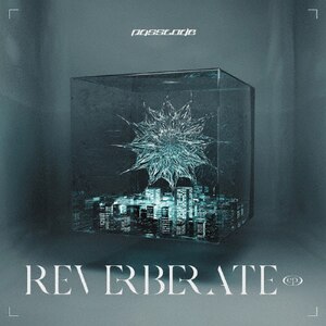 REVERBERATE ep.(B' KT Zepp YokohamaCuDVDt)|PassCode|UICZ-9232