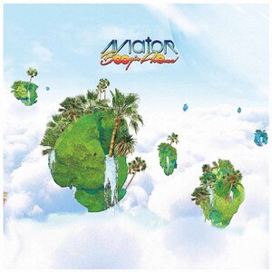 Aviator/Boogie Aroma(Cielo)|Especia|VICL-37065