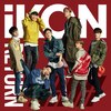 RETURN  iKON