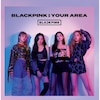 BLACKPINK IN YOUR AREA  BLACKPINK