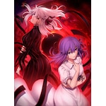����ŁuFate/stay night[Heaven's Feel]II.lost butterfly�v�y�ʏ��/DVD�z|�A�j���[�V����|ANSB-14404