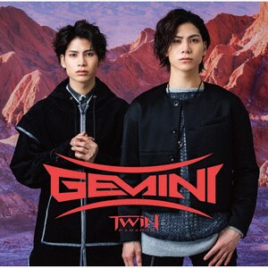Gemini(Type-B)|TWiN PARADOX|YRCN-90306