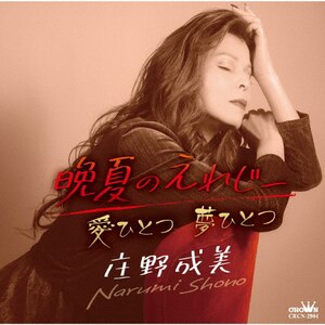 晩夏のえれじー|庄野成美|CRCN-2904