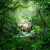 �V�[�Y���Y:�X�v�����O  �E�B�[�U�[