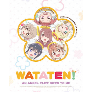 私に天使が舞い降りた! Blu-ray BOX | アニメーション | ZMAZ 私に天使が舞い降りた! Blu-ray BOX | アニメーション | ZMAZ
