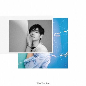 Way You Are(��������B)|��������|VIZL-2083