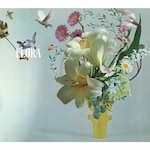 FLORA|��Q���₩|BRWS-003