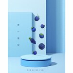 ���ʎ�(���񐶎Y�����)|THE SUPER FRUIT|TRAK-212/3