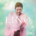 LINO|�r�䓍�q|DDCZ-2306