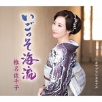 ���������C���yA Type�z|�Ŗ�����q|KICM-31132