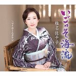 ���������C���yB Type�z|�Ŗ�����q|KICM-31133