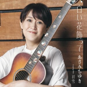 ԏ|݂䂫|TECA-24024
