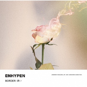 BORDER:儚い|ENHYPEN|TYCT-30124