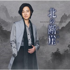 独特の上品 | 北の断崖(七夕盤) 山内惠介 ビクター | VICL-37775 | 語学・辞書・学習参考書