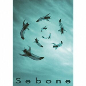 Sebone -脊髄盤+脊椎盤- | とた | PCCA-06463 | ポニーキャニオン | Joshin webショップ 通販