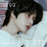 ����(CHIKAI)(������胁���o�[�\���W���P�b�g��/BEOMGYU)|TOMORROW X TOGETHER|TYCT-39237