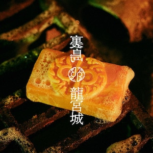 裏島(通常盤) | 龍宮城 | AICL-4659 | ソニー・ミュージック