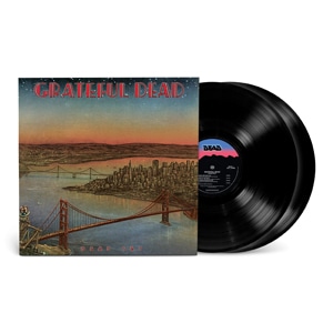 DEAD SET[2LP]【アナログ盤】【輸入盤】▽ | グレイトフル