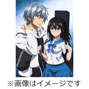 ストライク・ザ・ブラッドⅠ〜 Ⅳ ＋OVA 1巻 計24本〈初回仕様版