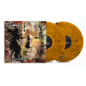 LAST LEAF ON THE TREE(AMBER VINYL)[2LP]yAiOՁzyAՁz|EB[El\|1980283688-1
