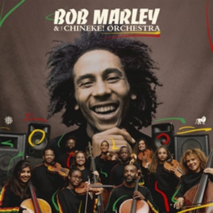 BOB MARLEY & THE CHINEKE! ORCHESTRAyAՁz|{uE}[[&UEEFC[Y|384-717