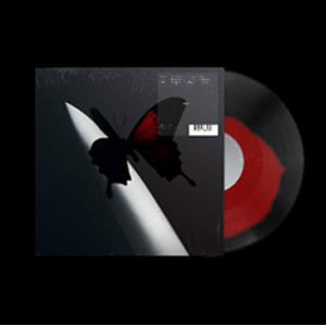 TWELVE CARAT TOOTHACHE[BLACK+RED SPOT 2LP]()yAiOՁzyAՁz||XgE}[|457-8097