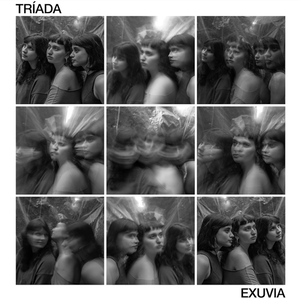 Exuvia�y�A���Ձz��|�g���A�[�_|612-406