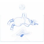 APE IN PINK MARBLE�y�A���Ձz��|DEVENDRA BANHART|7559-794530