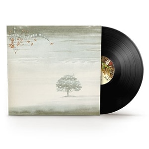 WIND & WUTHERING�y�A�i���O�Ձz�y�A���Ձz��  �W�F�l�V�X