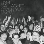 C'MON YOU KNOW(DELUXE)�y�A���Ձz��|���A���E�M�����K�[|9029-642394