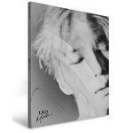 MUSE (2ND MINI ALBUM)【輸入盤】▼|LEO(VIXX)|CMDC-11422