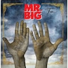 TEN (JAPAN EDITION)�y�A�i���O�Ձz�y�A���Ձz��  MR.BIG