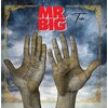 TEN (JAPAN EDITION)[SACD]�y�A���Ձz��  MR.BIG